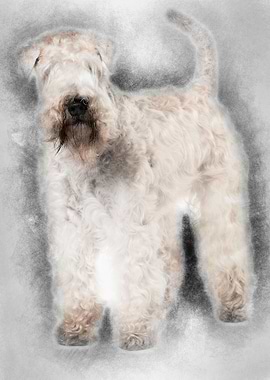 SoftCoated Wheaten Terrier