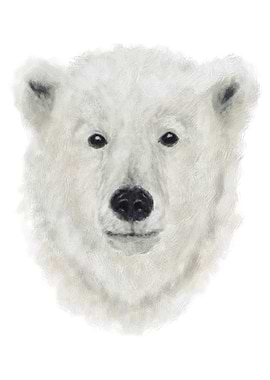 Arctic Polar Bear