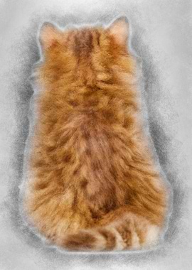 Rear view of a British Lon