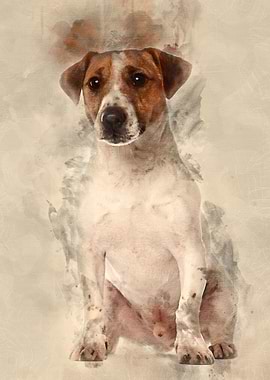 Portrait of Jack Russell T