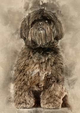 Shih Tzu sitting against w