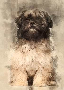 Lhasa apso sitting against