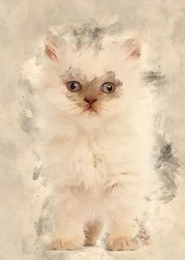 Portrait of British Longha