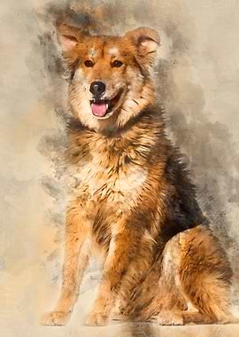 Mixedbreed dog 8 years ol