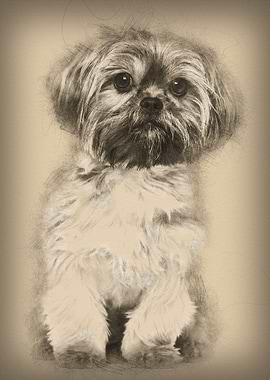 Mixedbreed dog 10 months