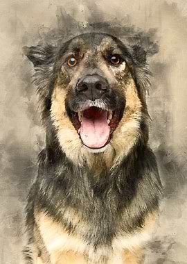 beautiful dog isolated on