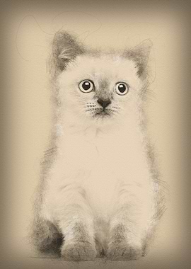 Portrait of British Shorth