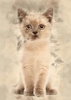 Portrait of British Shorth