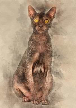 Lykoi cat also called the