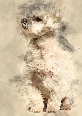 Maltese dog sitting agains