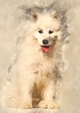 Samoyed puppy sitting agai