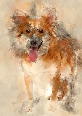 Mixed breed dog 2 years ol