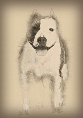 Portrait of American Staff