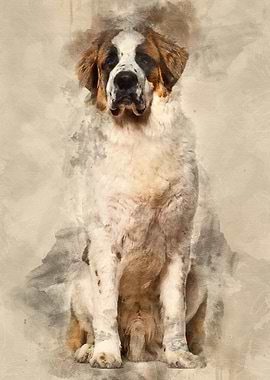 StBernard dog sitting and