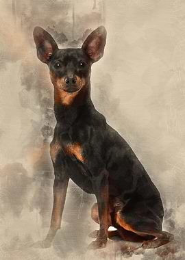 Miniature Pinscher 10 mont
