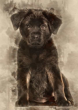 Mixedbreed dog 2 months