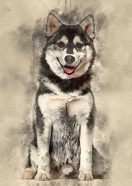 Pomsky dog sitting against