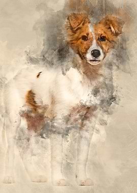 Mixedbreed dog standing a