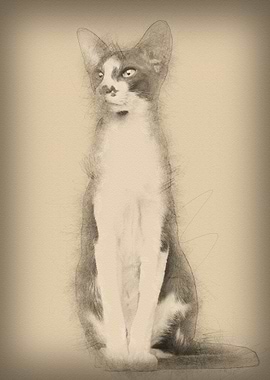 Oriental Shorthair sitting