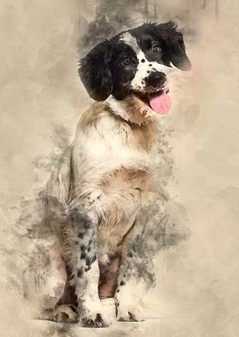 Mixedbreed dog sitting ag