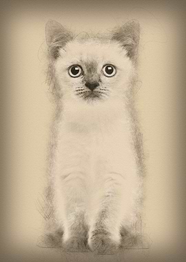 Portrait of British Shorth