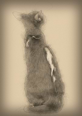 Rear view of an Oriental S