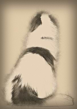 Rear view of an American C