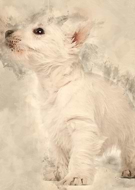 West Highland Terrier pupp