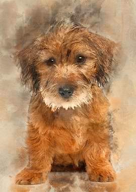 Mixedbreed dog puppy 3 mo