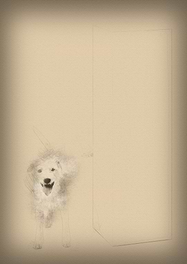 Parson Russell terrier uri