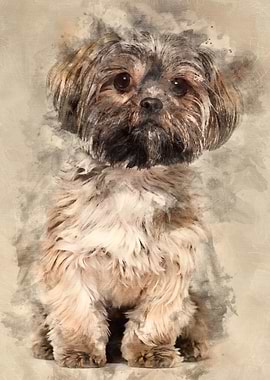 Mixedbreed dog 10 months