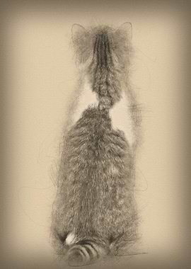 Rear view of a British Sho