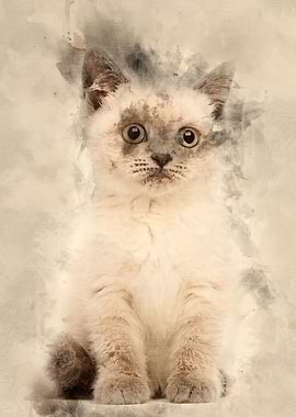 Portrait of British Shorth