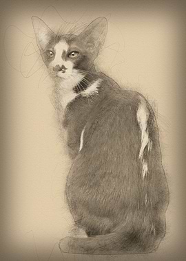 Rear view of an Oriental S