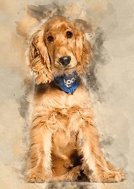 Cocker Spaniel dog 6 mont