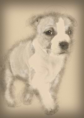 Portrait of American Staff