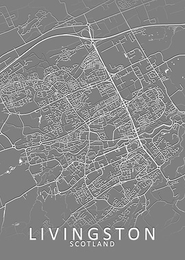 Livingston Grey City Map