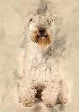 SoftCoated Wheaten Terrie