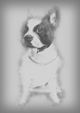 beautiful black and white