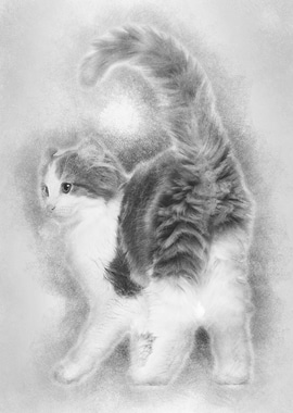 Rear view of an American C