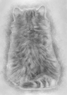 Rear view of a British Lon