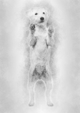 View througth a glass of a