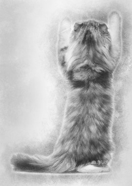 Rear view of an American C