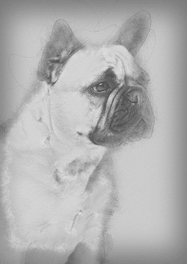 Portrait of beautiful youn