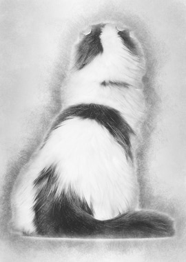 Rear view of an American C