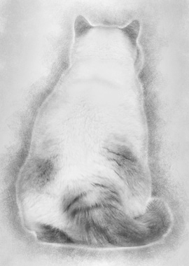 Rear view of a Fat British