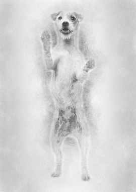 View througth a glass of a