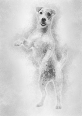 View througth a glass of a