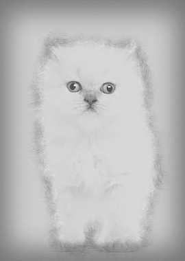 Portrait of British Longha