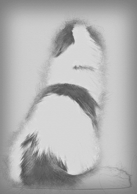 Rear view of an American C